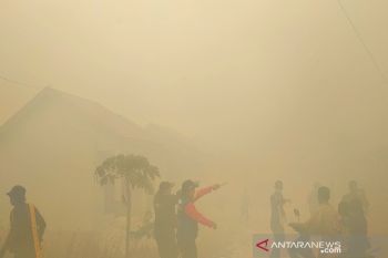 Pemprov lakukan sejumlah tindakan saat transisi pemulihan karhutla di Kalteng