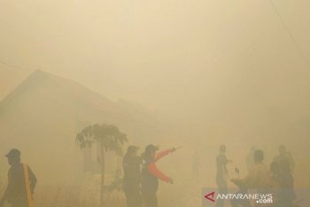 Kebakaran lahan nyaris hanguskan sekolah dan rumah warga