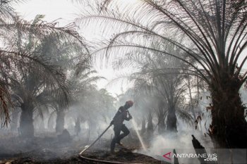 4 Tersangka Karhutla segera dilimpahkan ke Kejaksaan