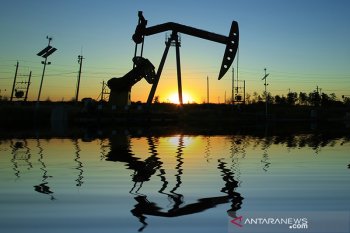 Indonesia identifies 13 new oil and gas wells in E Kalimantan