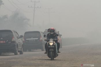 Sekolah di Pekanbaru lumpuh akibat kabut asap