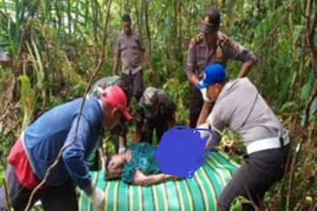 Seorang warga PNG tewas dalam kecelakaan lalu lintas di perbatasan Skouw