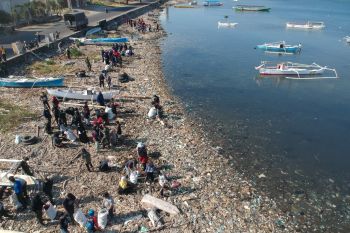 Peringati WCA penggiat lingkungan bersihkan pantai di Kota Parepare