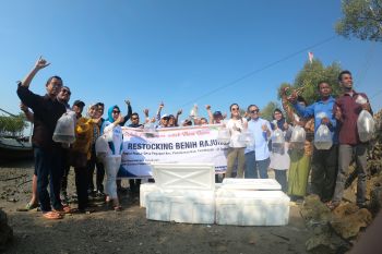 Sebanyak 250 ribu benih rajungan dikembalikan di alam perairan Pamekasan