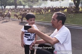 Ketika Jan Ethes jalan pagi bersama  dengan "Mbah Jokowi"