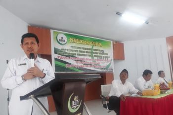 Setahun bencana sulteng, Padagimo punya potensi mandiri setelah setahun bencana