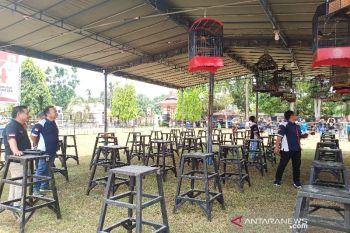 Ratusan peserta ramaikan adu suara burung perebutkan piala Bupati Bartim