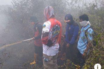Karhutla, upaya pencegahan dinilai lebih efektif  untuk mengatasinya