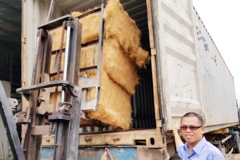 Peluang sabut kelapa di pasar Internasional menggiurkan