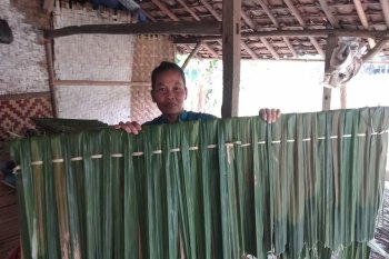 Perajin atap rumbia di Lebak butuh modal