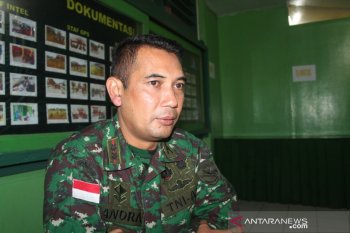17 orang meninggal di Wamena Jayawijaya terkait kericuhan
