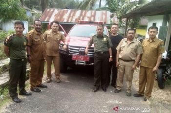 53 hektare hutan di Pesisir Selatan terbakar, sebagian besar hutan produksi