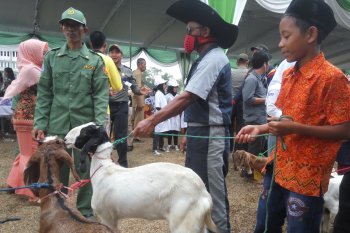 Anak yatim di Lampung Timur terima santunan seekor kambing