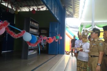 Zaiful Bokhari pastikan maju Pilkada Lampung Timur 2020 sebagai calon bupati