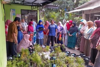 Kotagede programkan penanaman zodia dan lavender cegah DB