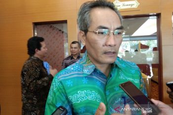 Wabup Bantul sayangkan penundaan padat karya karena gagal lelang