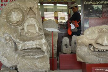 Koleksi museum Wajakensis