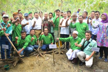 Ubi racun dapat dijadikan tambahan penghasilan