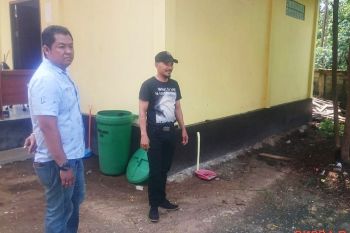 Beruang besar masuk ke balai pelatihan pegawai Kotim