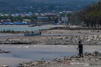 Pantai Teluk Palu setahun setelah tsunami