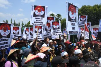 Unjuk rasa petani di Jember