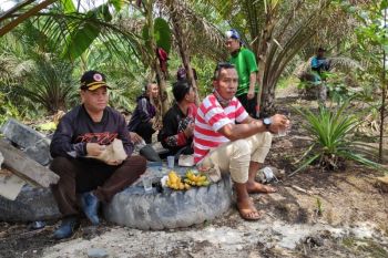 Kotim tetap waspada karhutla meski intensitas hujan meningkat