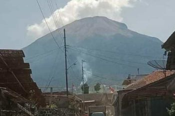 Hutan Gunung Sindoro terbakar