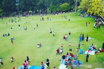 Musim hujan, kunjungan wisatawan ke Kebun Raya Cibodas Puncak-Cianjur turun 50 persen
