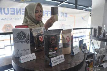 Dewan Kopi: Perkebunan kopi  Sumsel perlu peremajaan
