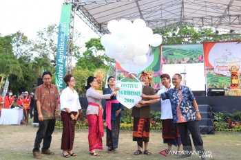Koster: festival agribisnis 3-6 Oktober dorong masyarakat cintai produk lokal