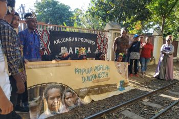 Imasepa: Mahasiswa Papua harus teliti menyaring informasi di media sosial