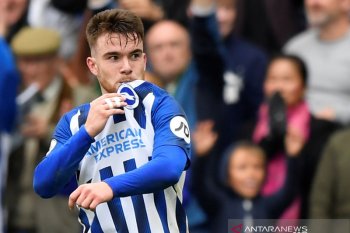 Pulih dari cedera, Connolly siap bela Brighton lawan Liverpool