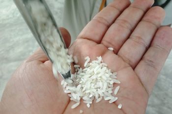 Persediaan menipis, harga beras di Agam naik