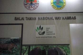 729  hektare hutan Way Kambas terbakar