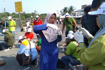 Peneliti : Kerang Hijau Teluk Jakarta cocok untuk biofilter