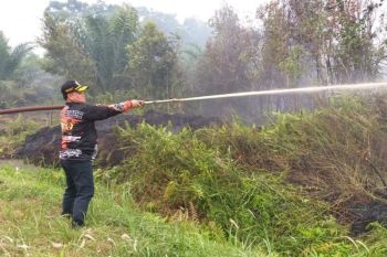 Kegiatan ekonomi masyarakat Kotim pulih setelah asap hilang