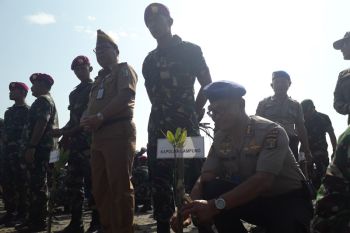 300.74 bibit mangrove ditanam serentak pada puncak HUT TNI