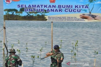 Tanam Mangrove di lokasi bekas tsunami