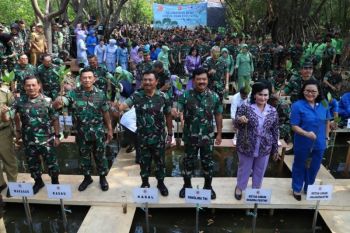 TNI Tanam serentak 300.074 mangrove dari Sabang sampai Merauke