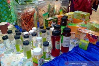 BPPT : Pengembangan obat butuh dukungan kesiapan infrastruktur dan SDM