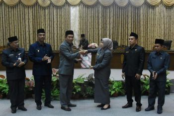 Pemkab Barut sampaikan rancangan KUA dan PPAS  2020