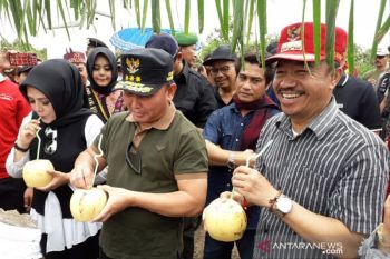 Pemprov dorong Seruyan bangun jembatan penghubung di wilayah pedalaman