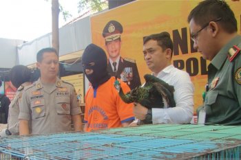 Polisi Gresik amankan 13 burung langka