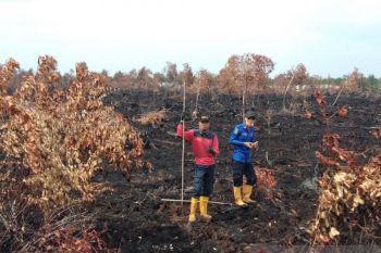 Pangdam Sriwijaya :  Jangan lengah atas karhutla