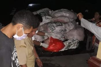 Diamankan 925 kg karkas ayam tak layak konsumsi