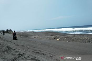 Sisi selatan BIY akan ditanami pohon
