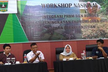 BUMDes tidak boleh latah tentukan usaha