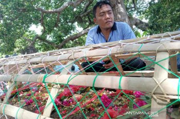 Keluarga mengaku terbantu urus kepulangan jenazah korban jembatan Taiwan runtuh