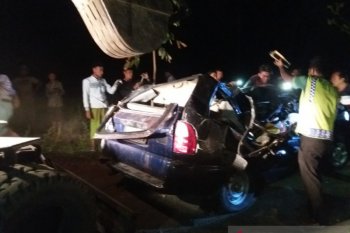 Pohon tumbang tewaskan tiga penumpang Panther