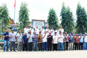 914 hektare perkebunan sawit Rokan Hilir akan diremajakan pada 2020